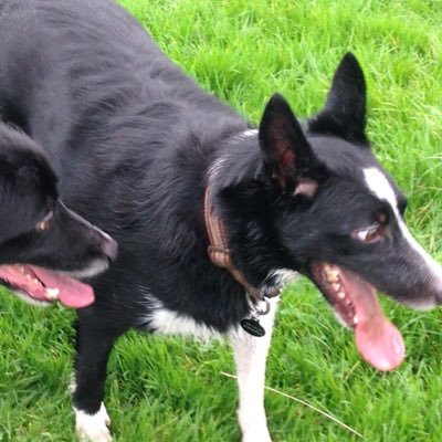 Profile Picture of Graham Saunders (@graham75s) on Twitter