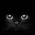 Profile Picture of Robert E Lee (@relfotoz) on Instagram