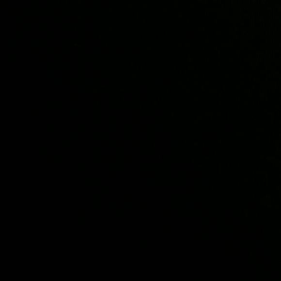 Profile Picture of Mariah Alvarez (@adioshunter) on Poshmark