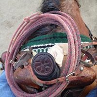 Profile Picture of Phyllis Spradley (@phyllis-spradley) on Quora