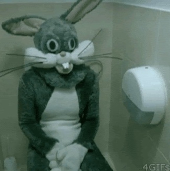 Profile Picture of Chloe Morrison (@chloemorriso319) on Poshmark