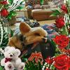 Profile Picture of Donna Hassell388 (@@donnahassell) on Tiktok