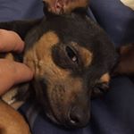 Profile Picture of Adam Rangel (@adamrangel222) on Instagram