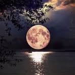 Profile Picture of Loai Ahmed Jam (@loai.ahmed.jam) on Facebook