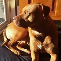 Profile Picture of Joseph Cendrowski (@josephcendrowsk) on Pinterest