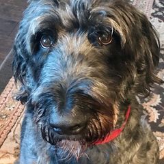 Profile Picture of vikramchatterjee5 (@vikramchatterjee5) on Tiktok