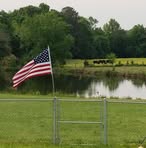 Profile Picture of Bobby Gray (@Bobby-Gray) on Facebook