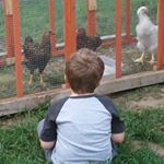 Profile Picture of Kim Deaton (@kimdeaton) on Instagram