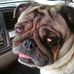 Profile Picture of Randy Engleman (@randy.engleman.79) on Facebook