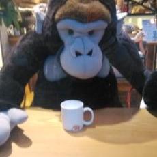 Profile Picture of Richard. Xu (@richardxu19) on Twitter