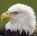 Profile Picture of Felix N. Oben (@Felix-N-Oben) on Facebook