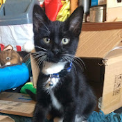 Profile Picture of Rebecca Page (@rebeccacow) on Youtube