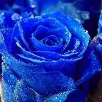 Profile Picture of Rudy Alexander (@RudyAlexander14) on Twitter