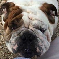 Profile Picture of Karl Koch (@karl-koch-21) on Quora