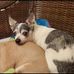 Profile Picture of Marci Engel (@marci.engel.1238) on Facebook