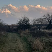 Profile Picture of Jeremy Morrison (@jeremymorrison2300) on Youtube