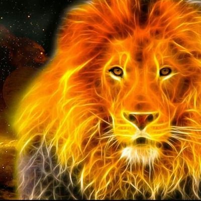Profile Picture of Jamie Blevins (@jamiebl21513316) on Twitter