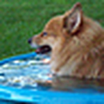 Profile Picture of Kevin Watts (@Kevin Watts 2010) on Flickr