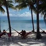 Profile Picture of Anne Pinder (@annepinder) on Instagram