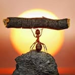 Profile Picture of Robert Chua (@Robert-Chua) on Facebook