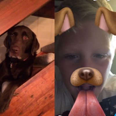 Profile Picture of chasewalsh17 (@chasewalsh17) on Tiktok