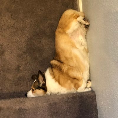 Profile Picture of Julie NO TOUCHING  🥃 (@bananas4bourbon) on Twitter