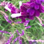 Profile Picture of Daniel Shultis (@danielshultis) on Instagram