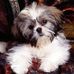 Profile Picture of Marion Knapp (@marion.knapp.31945) on Facebook