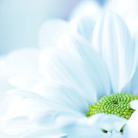 Profile Picture of Henrietta Murray (@henmurray) on Pinterest