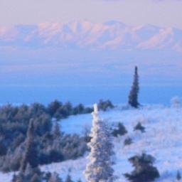 Profile Picture of George Combs (@masternubzy) on Twitter