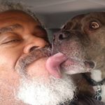 Joe Diggs - Instagram Profile Picture of Joe Diggs (@terrapinjoe) on Instagram