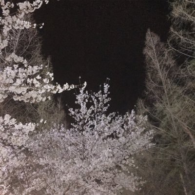 Profile Picture of 🐰 (@FS_MinChae) on Twitter
