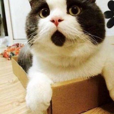 Profile Picture of Kathy_duan (@Kathy4duan) on Twitter