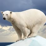 Profile Picture of Mario Cotto (@mario.cotto.7315) on Facebook