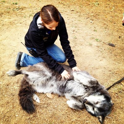 Profile Picture of Jordan Hurd (@JordanHurd2) on Twitter