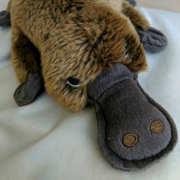 Profile Picture of Michael Kwan (@platy) on Poshmark