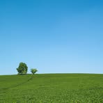 Profile Picture of Rosenberg James (@Rosenberg-James) on Facebook