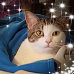 Profile Picture of Candi Hicks (@candi.hicks.1) on Instagram