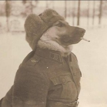 Profile Picture of Adam (@Wozny756) on Twitter