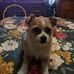 Profile Picture of Cheryl Martini (@cheryl.martini.399) on Facebook