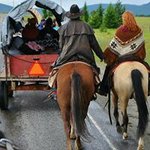 Profile Picture of Tracy Faulkner-Tanis (@tracytanis) on Instagram