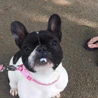 Profile Picture of Leighanne Forbes (@leighanne.forbes.336) on Facebook