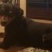 Profile Picture of Dixie Terrell (@dixieterrell) on Pinterest