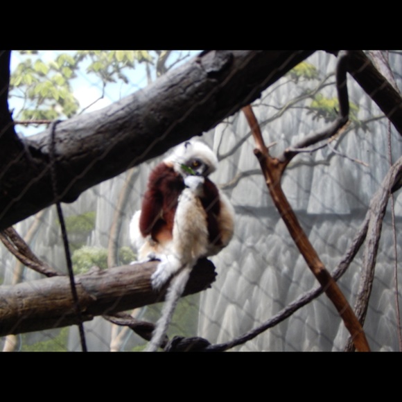 Profile Picture of Meg Gramble (@gramby) on Poshmark