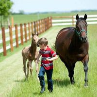 Profile Picture of Randy Bakken (@randy-bakken-2) on Quora