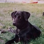 Profile Picture of Dustin Quimby (@dustinquimby) on Instagram