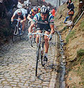 Profile Picture of Koppenbergon Wikipedia
