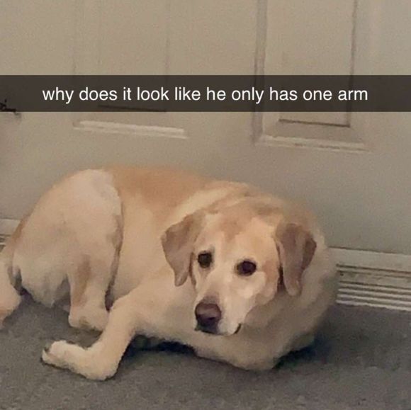 Profile Picture of Yvette Lin (@yvettelinn) on Poshmark