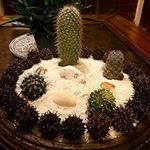 Profile Picture of randall_petersb (@randall_petersb) on Instagram