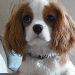 Profile Picture of Joyce Hazel (@joyce.hazel.58) on Instagram